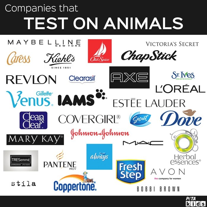 Possible theme 1: Animal testing – Katie Metcalfe's Artwork and Portfolio Possible theme 1: Animal testing – Katie Metcalfe's Artwork and Portfolio