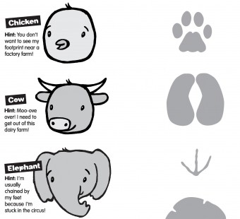 Animal Footprints: Match Them All!