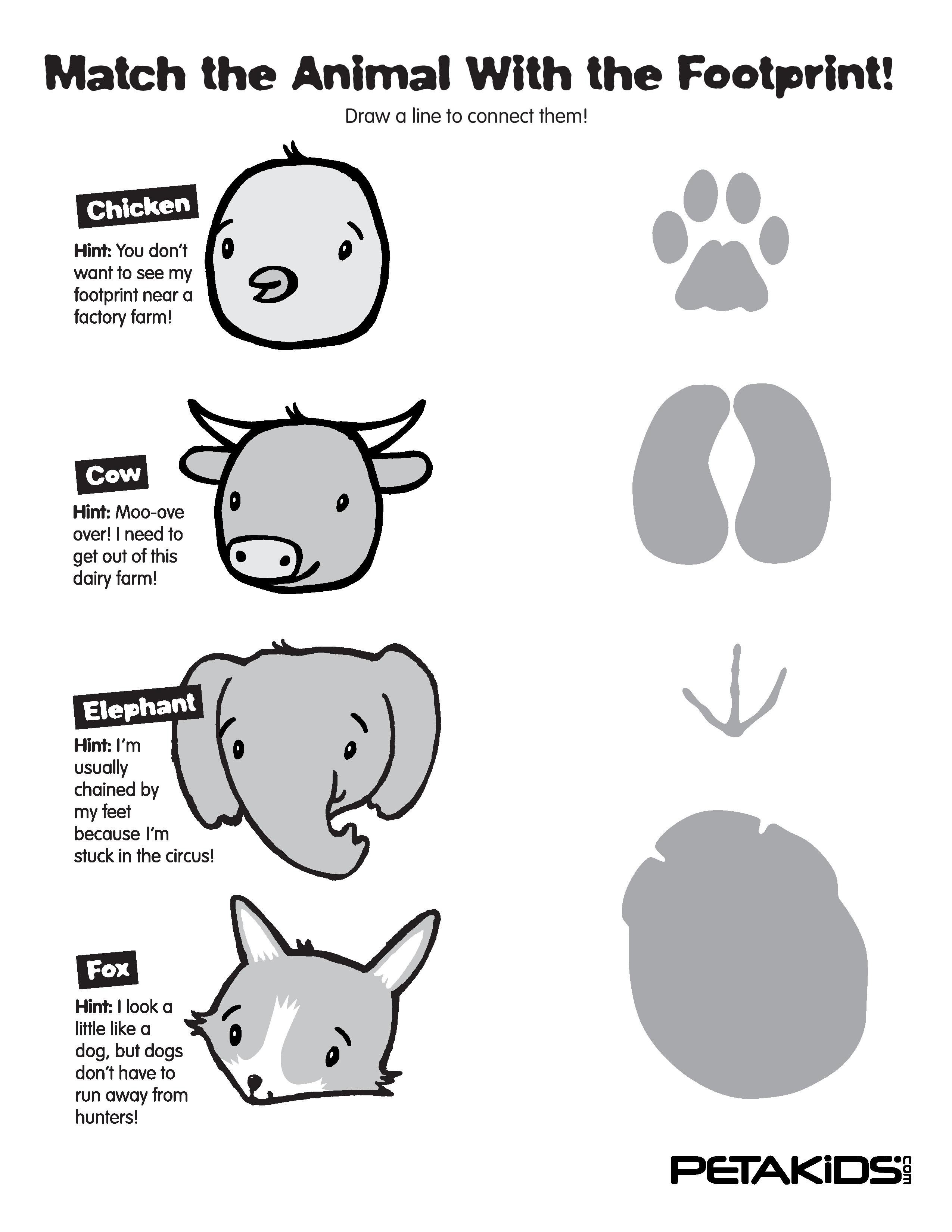 Animal Footprints Printable Activity