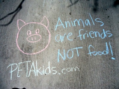 Sidewalk Chalk Mission: Animals Are Friends Not Food