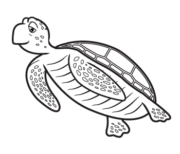 A Fish's Life Turtle