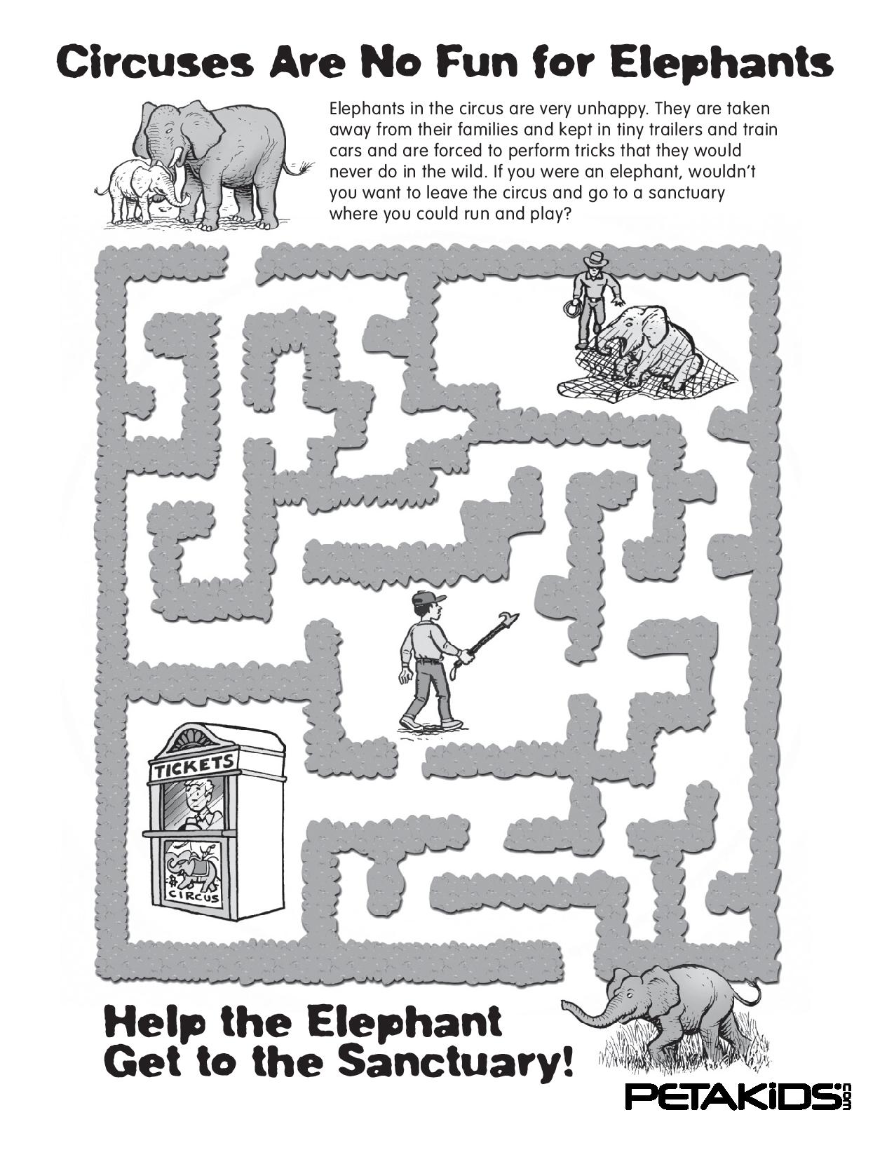 Elephant Maze