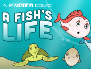 ‘A Fish’s Life’ Comic Book