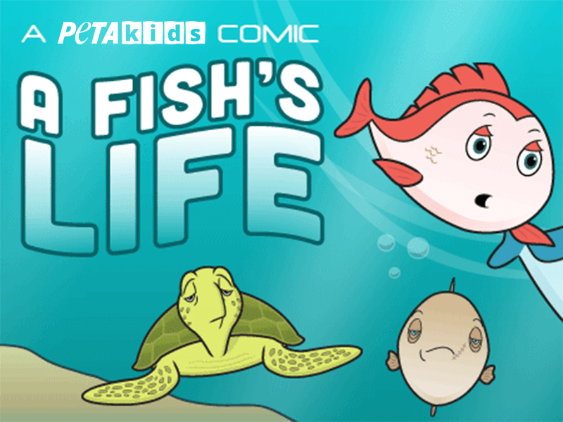 A Fish's Life' Comic Book | Activities | PETA Kids A Fish's Life' Comic Book | Activities | PETA Kids