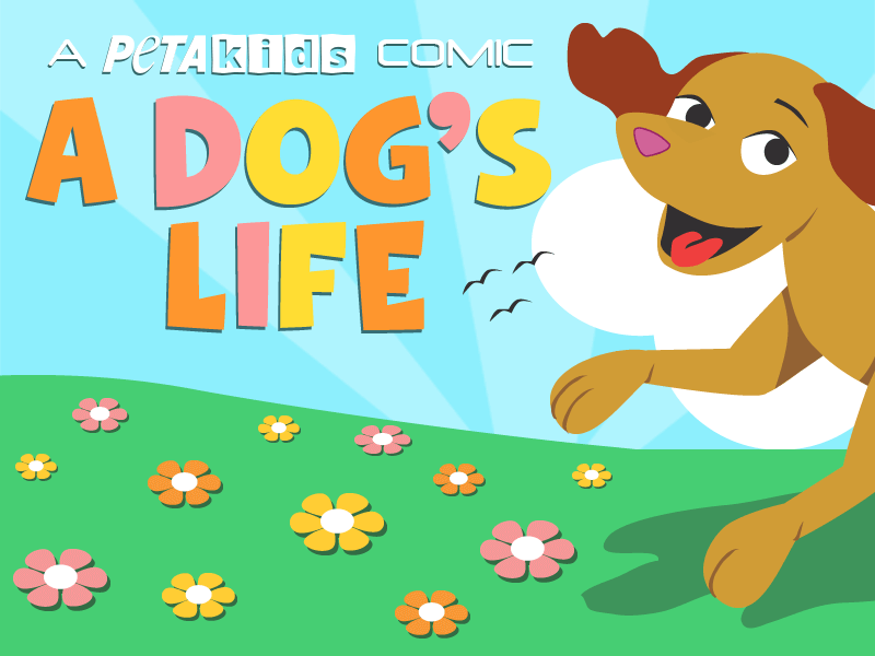 A Dog's Life' Comic Book | Activities | PETA Kids