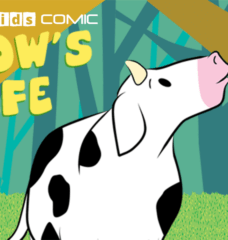 ‘A Cow’s Life’ Comic Book