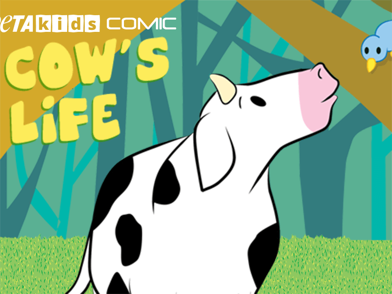 A Cow's Life' Comic Book | Activities | PETA Kids
