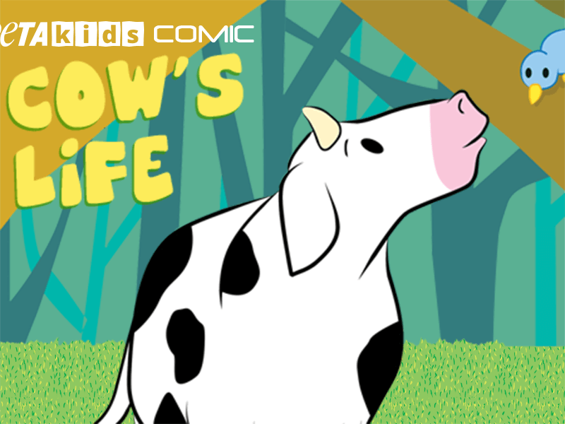 A Cow's Life' Comic Book | Activities | PETA Kids A Cow's Life' Comic Book | Activities | PETA Kids