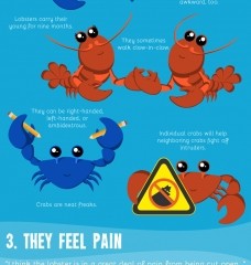 5 Reasons Not to Eat Crabs and Lobsters