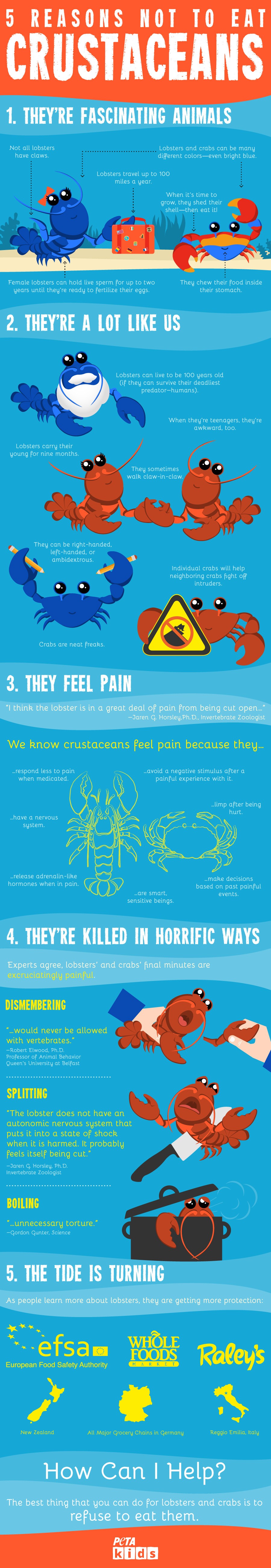 5 Reasons Not to Eat Crabs and Lobsters | PETA Kids