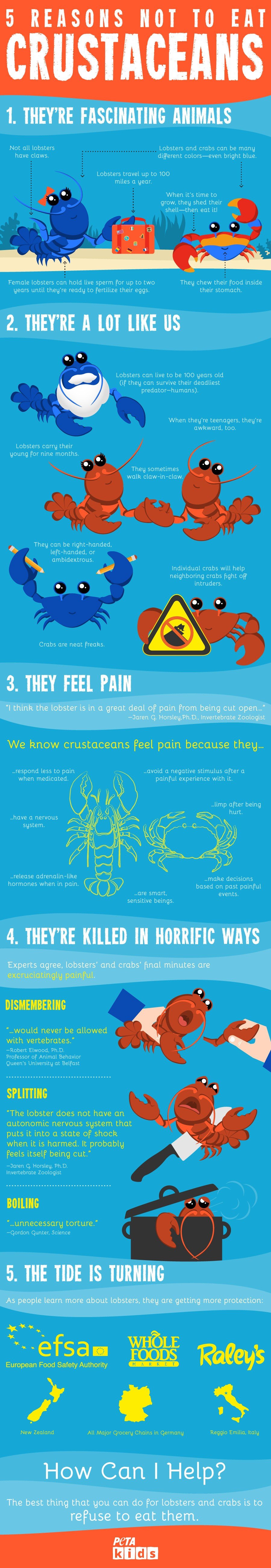 5 Reasons Not to Eat Crustaceans Infographic