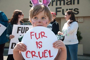 Child at Protest Holding Fur Is Cruel Sign