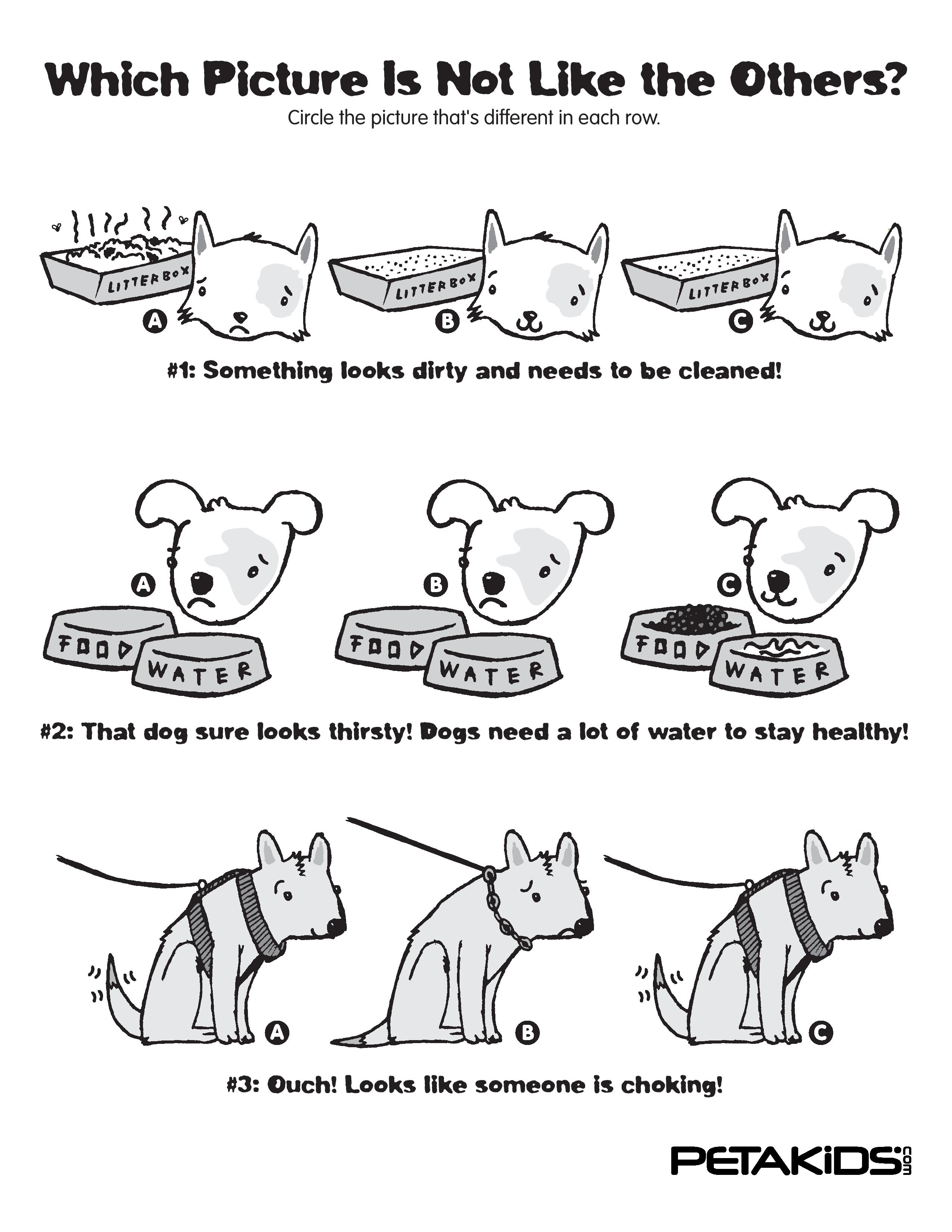 Can You Spot the Difference? | PETA Kids