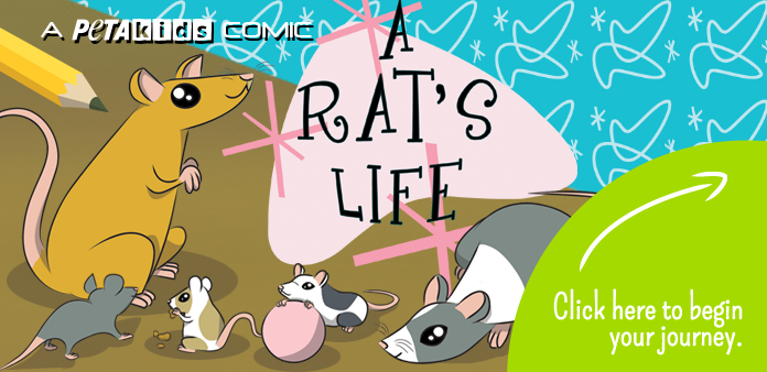 A Rati's Life comic book cover
