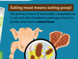 Research Topic: The Truth About Eating Animals