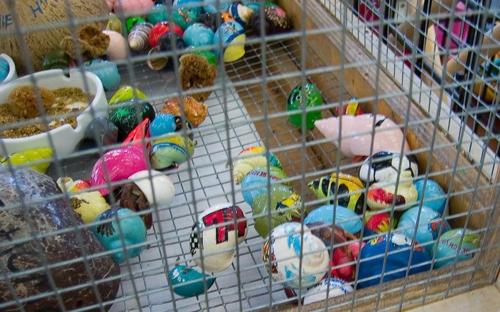 Hermit Crabs With Painted Shells