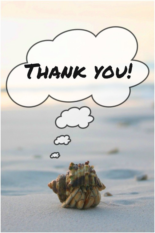 Crab With Thank You Speech Bubble