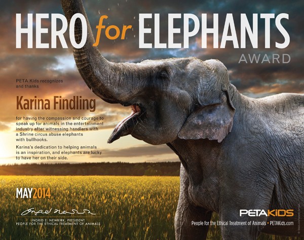 Hero for Elephants Award