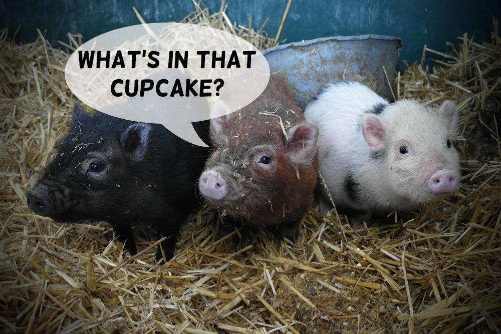 Three Pigs Piglets in Hay