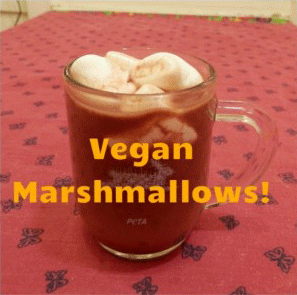 Vegan-Hot-Cocoa-Extras-Marshmallows
