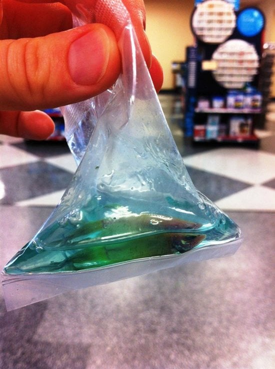 Betta Fish In Tiny Bag