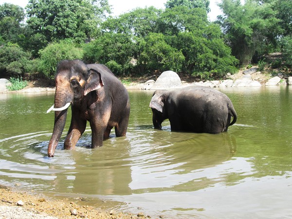 Sunder-In-Water