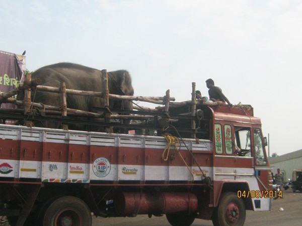 Sunder-On-Truck-2