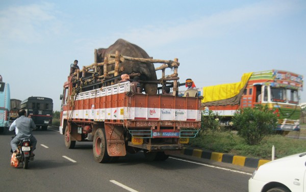 Sunder-On-Truck-3