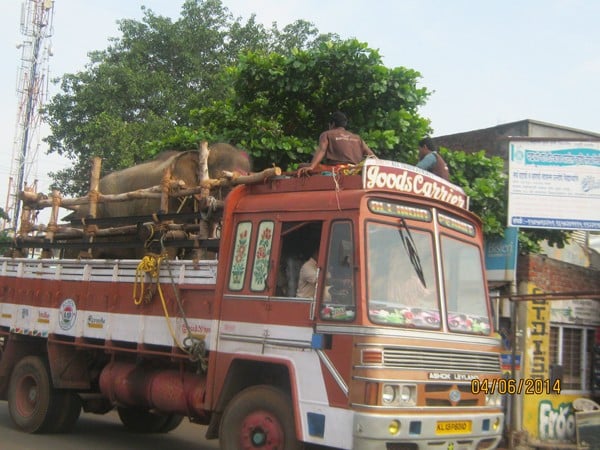 Sunder-On-Truck