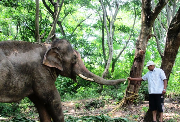 Sunder is greeted with fruit when he arrives at the sanctuary.