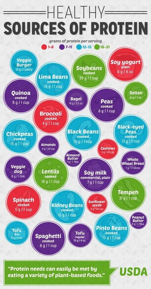 Protein Chart For All Foods