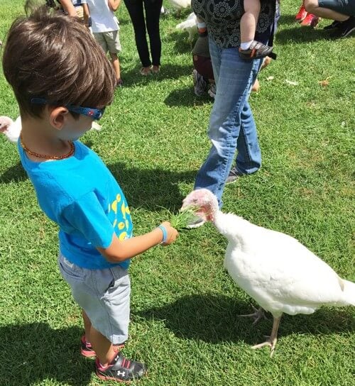 Matthew-at-Animal-Sanctuary-with-Turkey