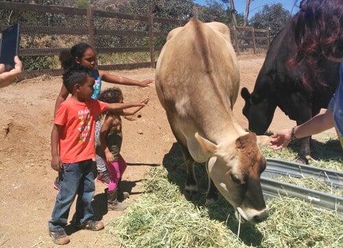 Palacio-Butler-Kids-at-Farm-Sanctuary