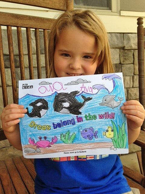 Orca Activity Sheet Ava Kid