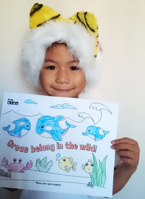 Orcas-Belong-in-Wild-Kid