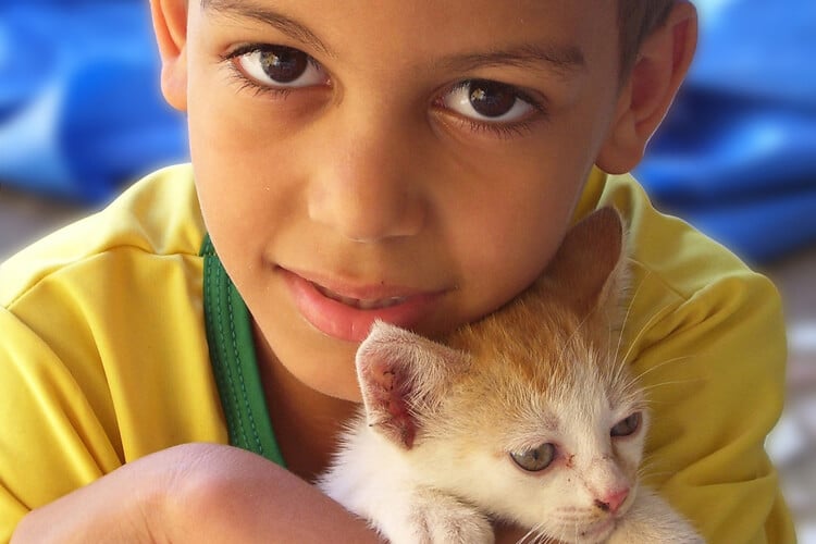 Boy-with-Kitten-Cat