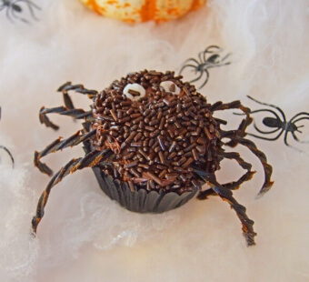 halloween vegan chocolate spider cupcake