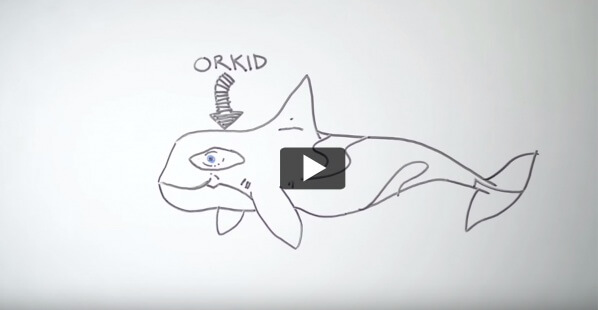 Orkid the Orca Needs Your Help