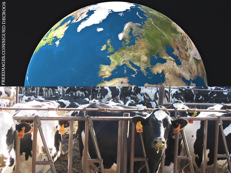 6 Ways Eating Animals is Ruining the Planet | PETA Kids 6 Ways Eating Animals is Ruining the Planet | PETA Kids