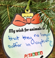 My New Year’s Wish for Animals Is …