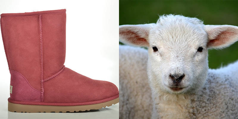 uggs animal skin