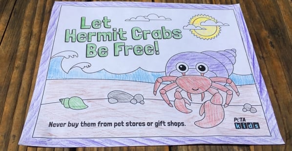 hermit-crab-coloring-sheet