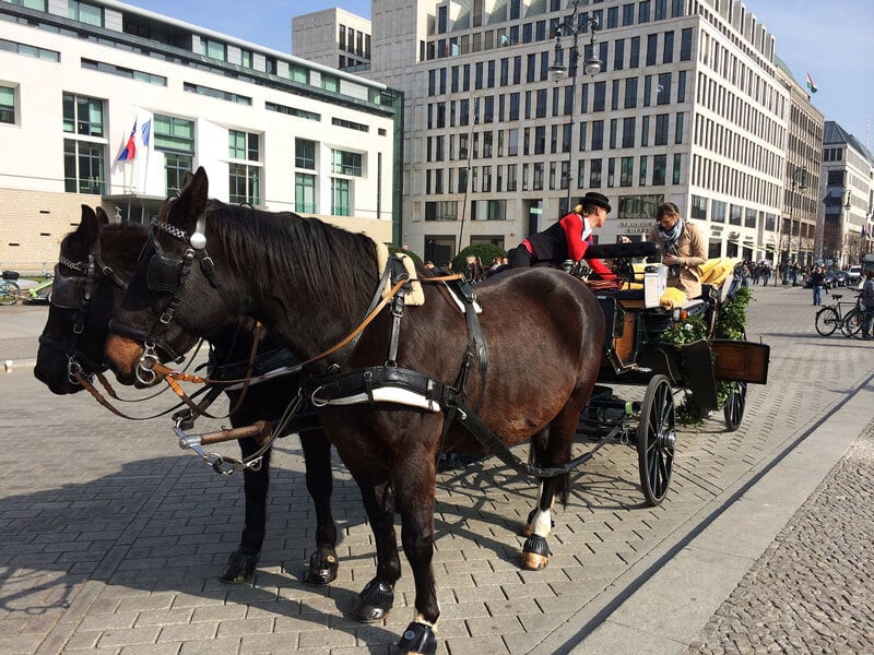 Horses-in-City-Carriage