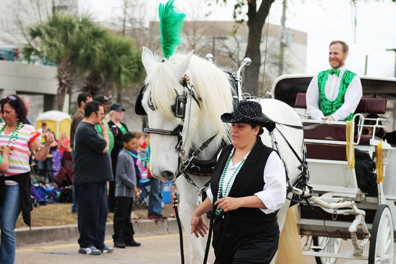 White-Horse-Drawn-Carriage