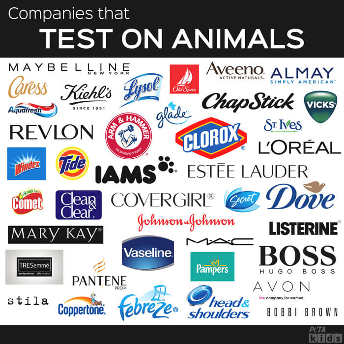 Companies-That-Do-Test-On-Animals-Post.jpg