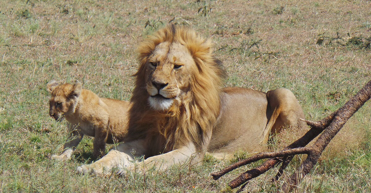 animals also have right to live speech