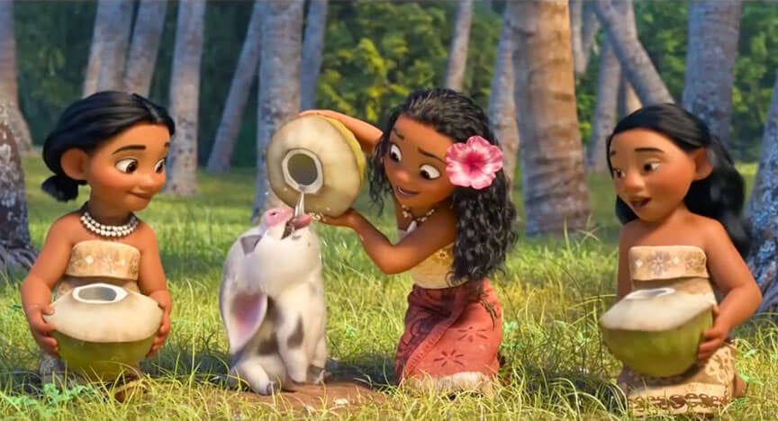 Animal Friendly Messages Found In Moana Spotlight Peta Kids Animal Friendly Messages Found In Moana Spotlight Peta Kids