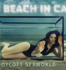 Noah Cyrus to SeaWorld: ‘Send Orcas to Sanctuary’