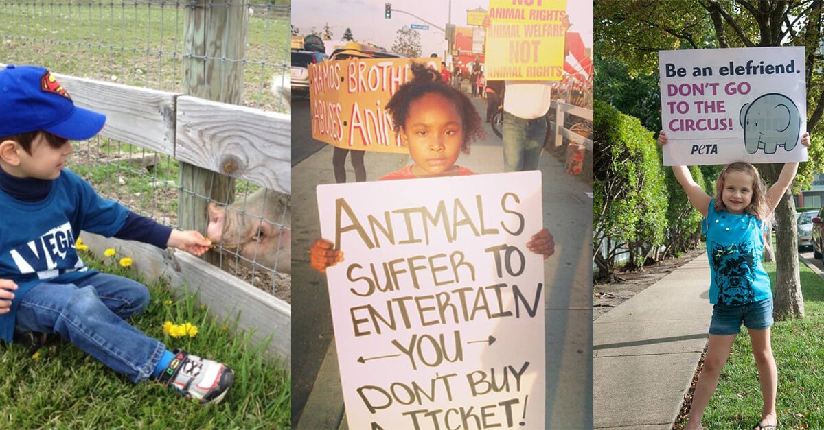 10 Easy Ways You Can Help Save Animals | PETA Kids 10 Easy Ways You Can Help Save Animals | PETA Kids
