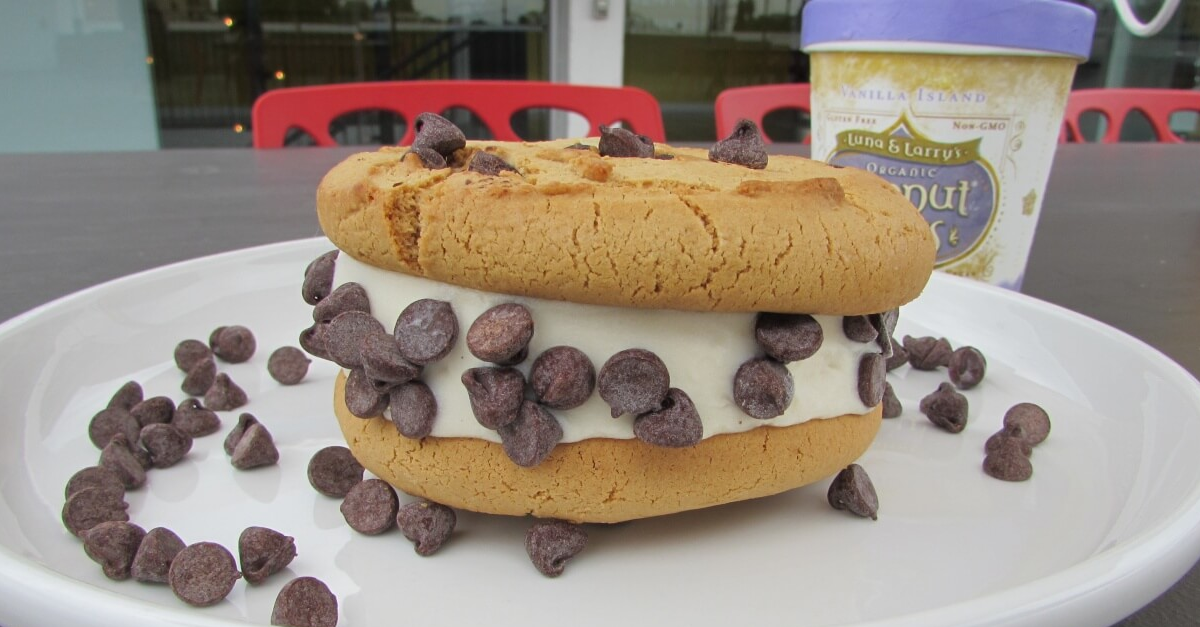 Vegan Ice Cream That Has Us Melting | PETA Kids